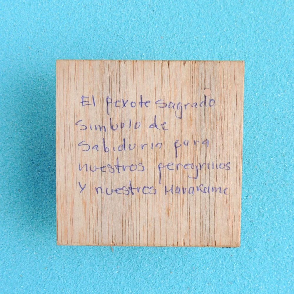 Huichol Art Yarn Painting Pink Peyote 6"